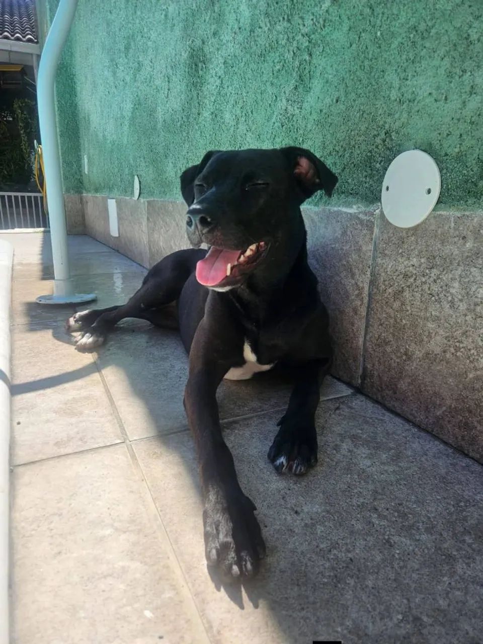 ADOTE A LUA  - Foto 2