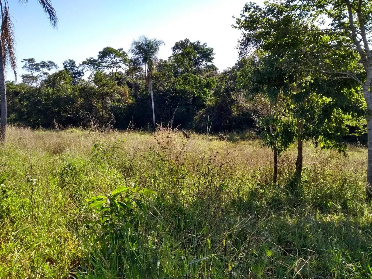 Vendo sítio em Minaçu  - Foto 4