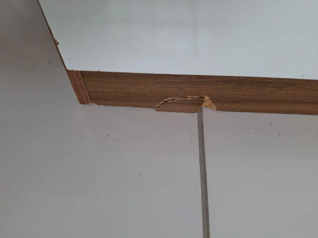 Vendo guarda roupa  - Foto 4