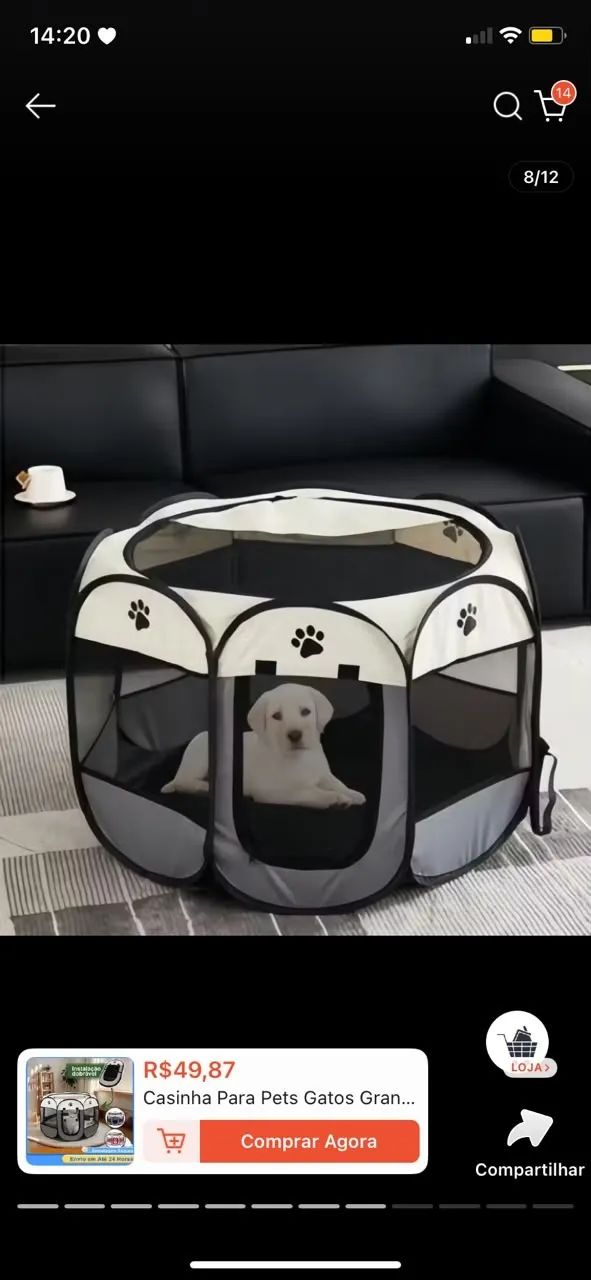 casa de pet 