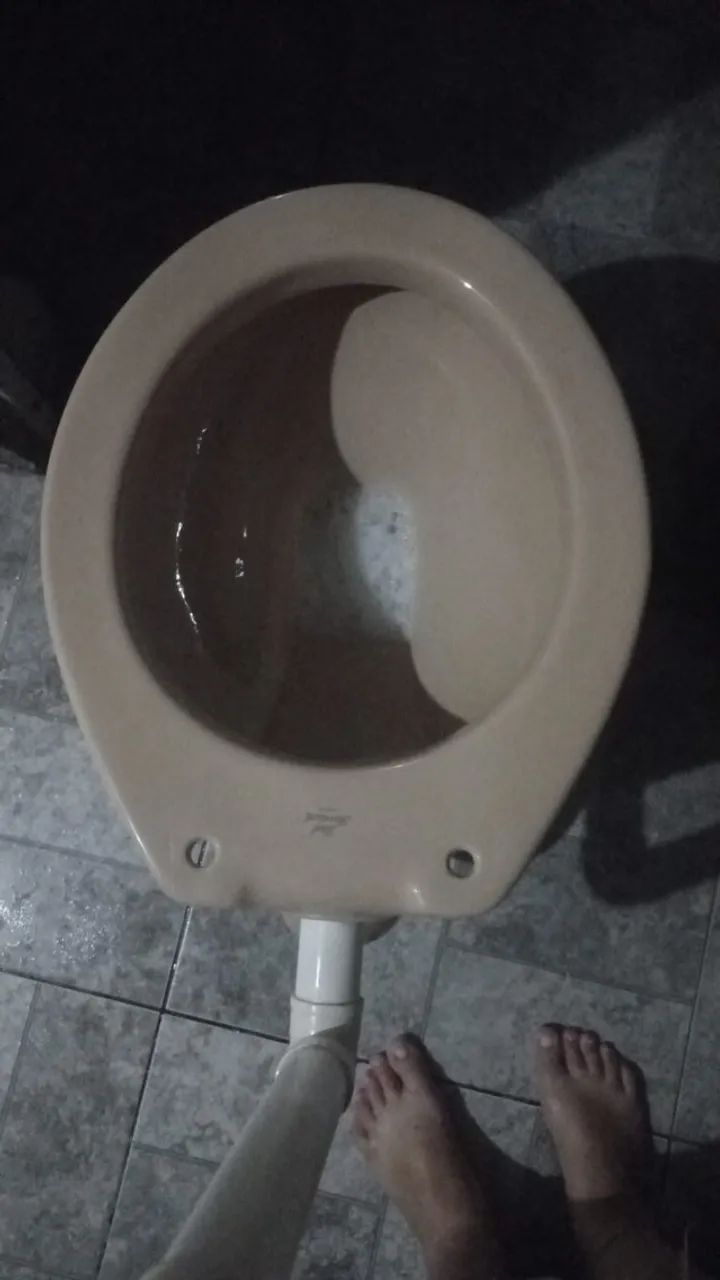 Vaso sanitário Bege  - Foto 3