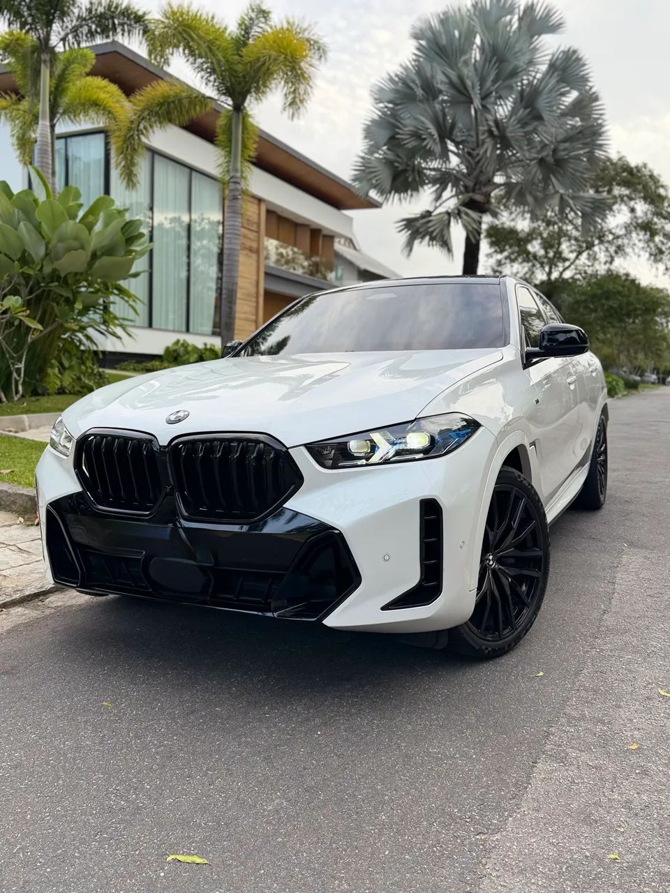 BMW X6 2024