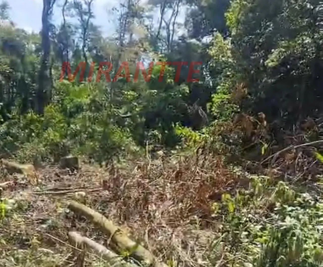 Terreno em SANTA INÊS - Foto 2