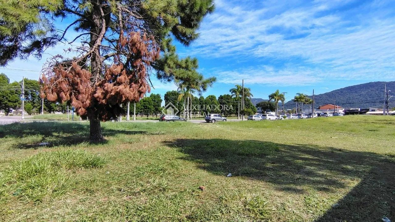 Terreno com viabilidade comercial e residencial próximo ao komprão - Foto 4