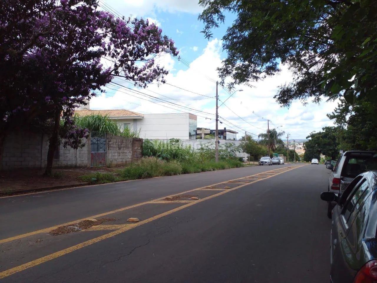terreno - Parque Taquaral - Campinas - Foto 3