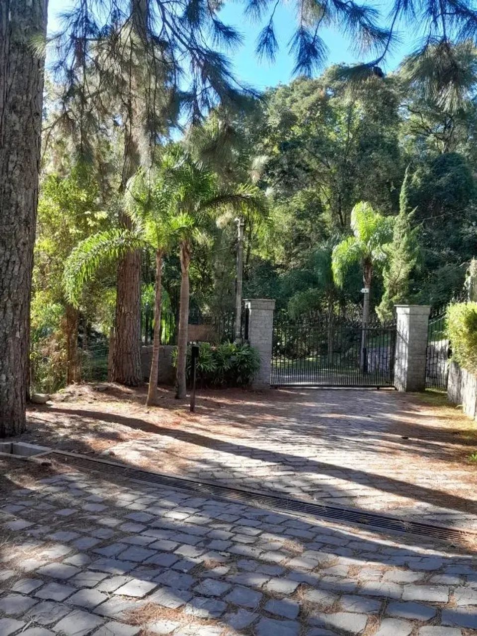 CAXIAS DO SUL - Terreno Padrão - MONTE BÉRICO - Foto 12