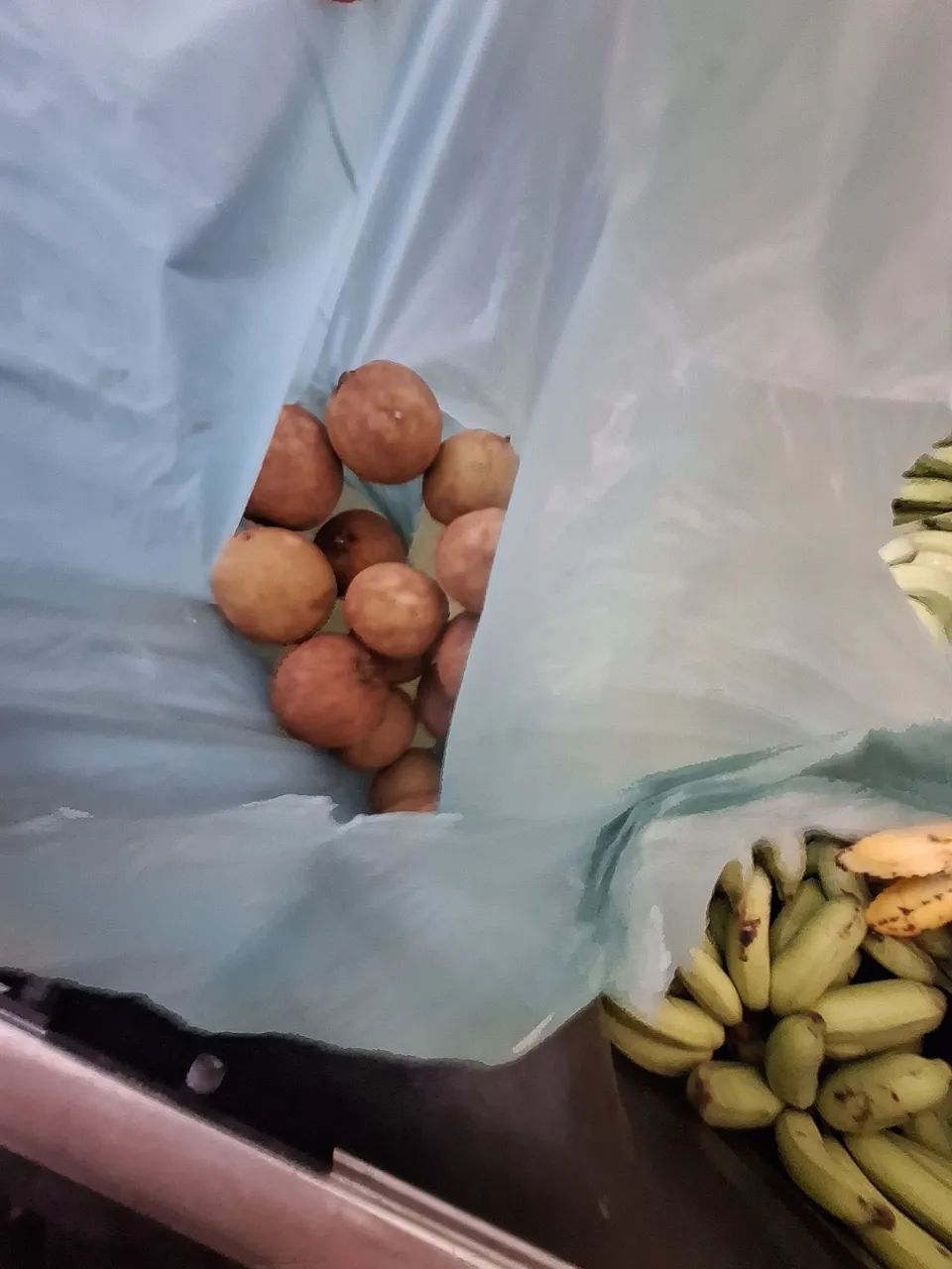 Frutas da Serra de Aratanha. - Foto 2