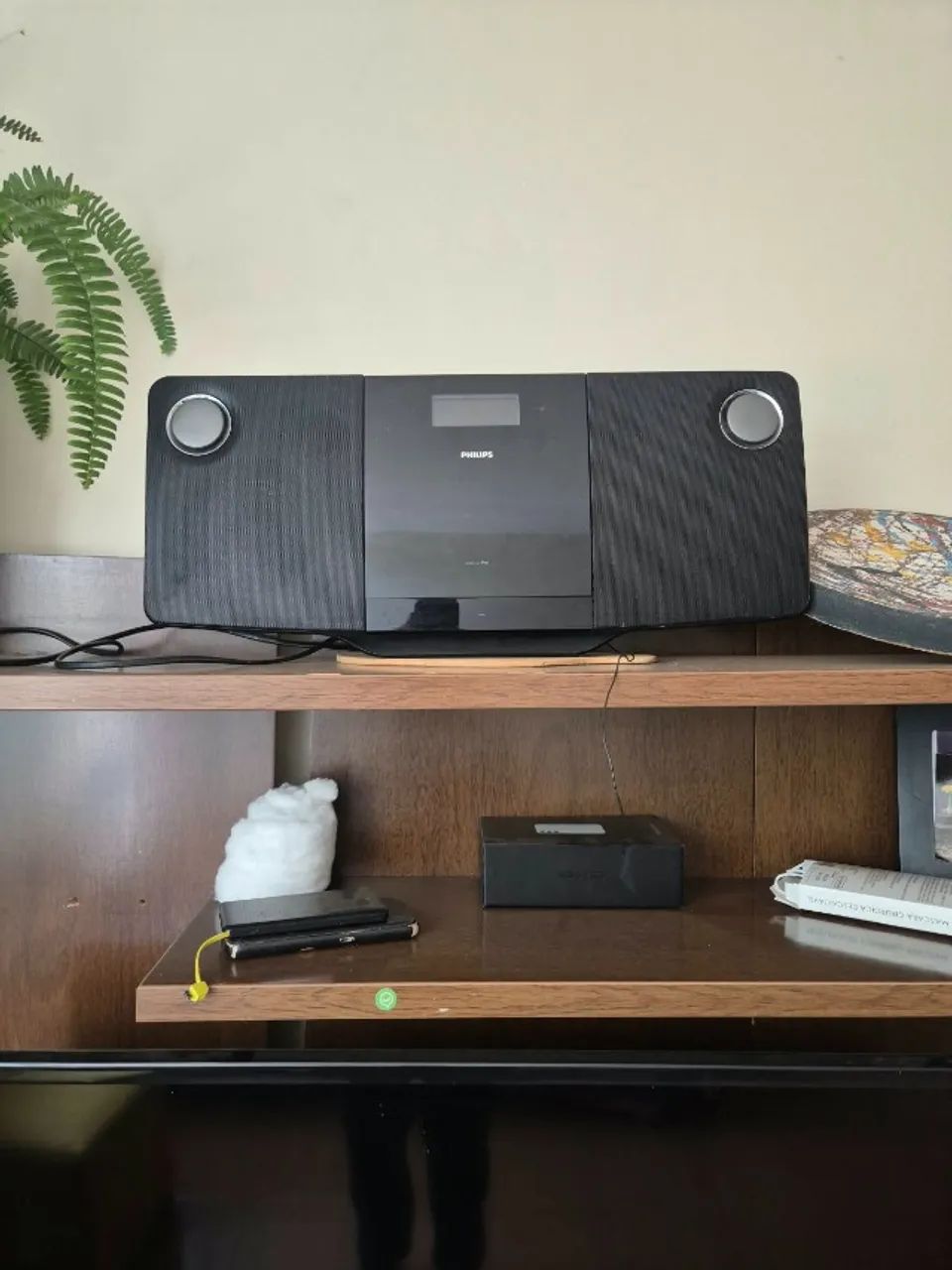 Microsystem Phillips