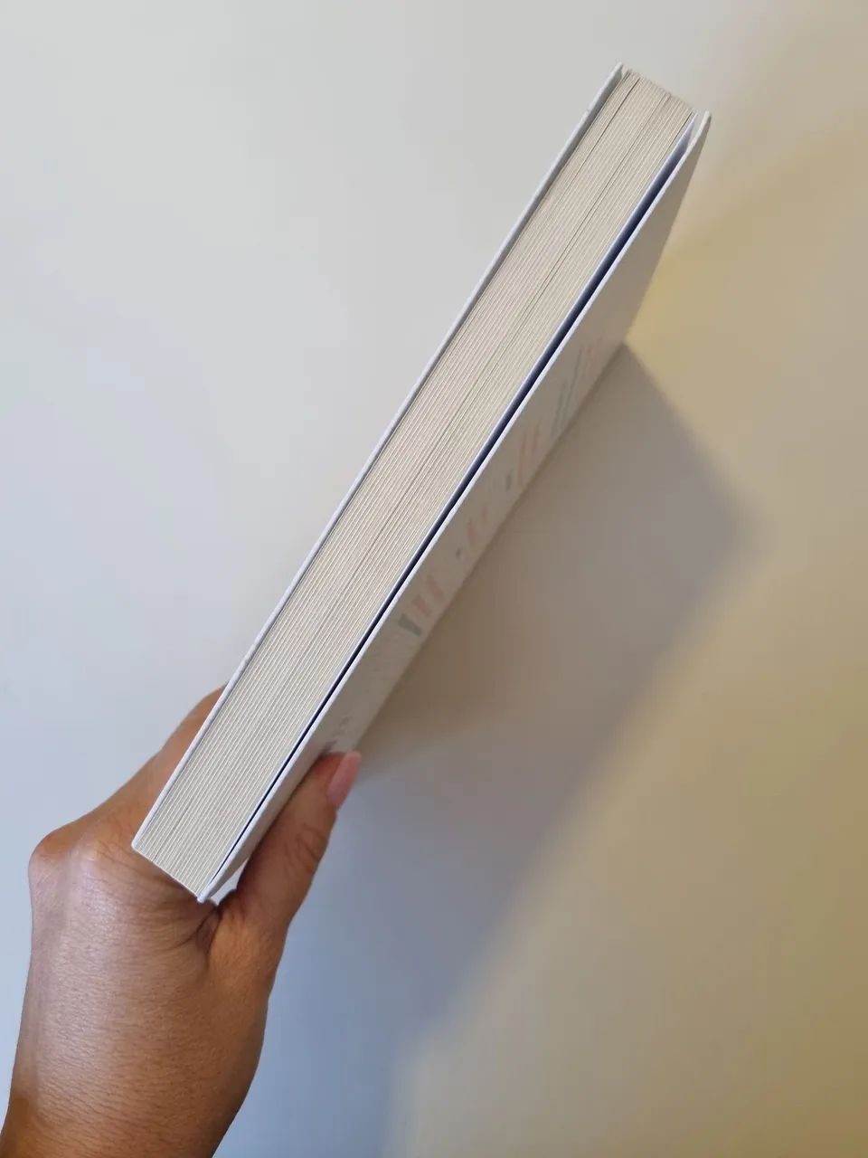 Livro Confesse - Foto 2