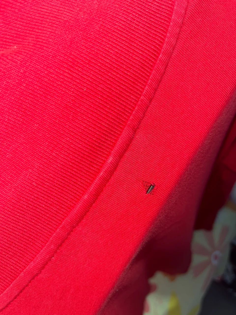 Camisa Lacoste  - Foto 5
