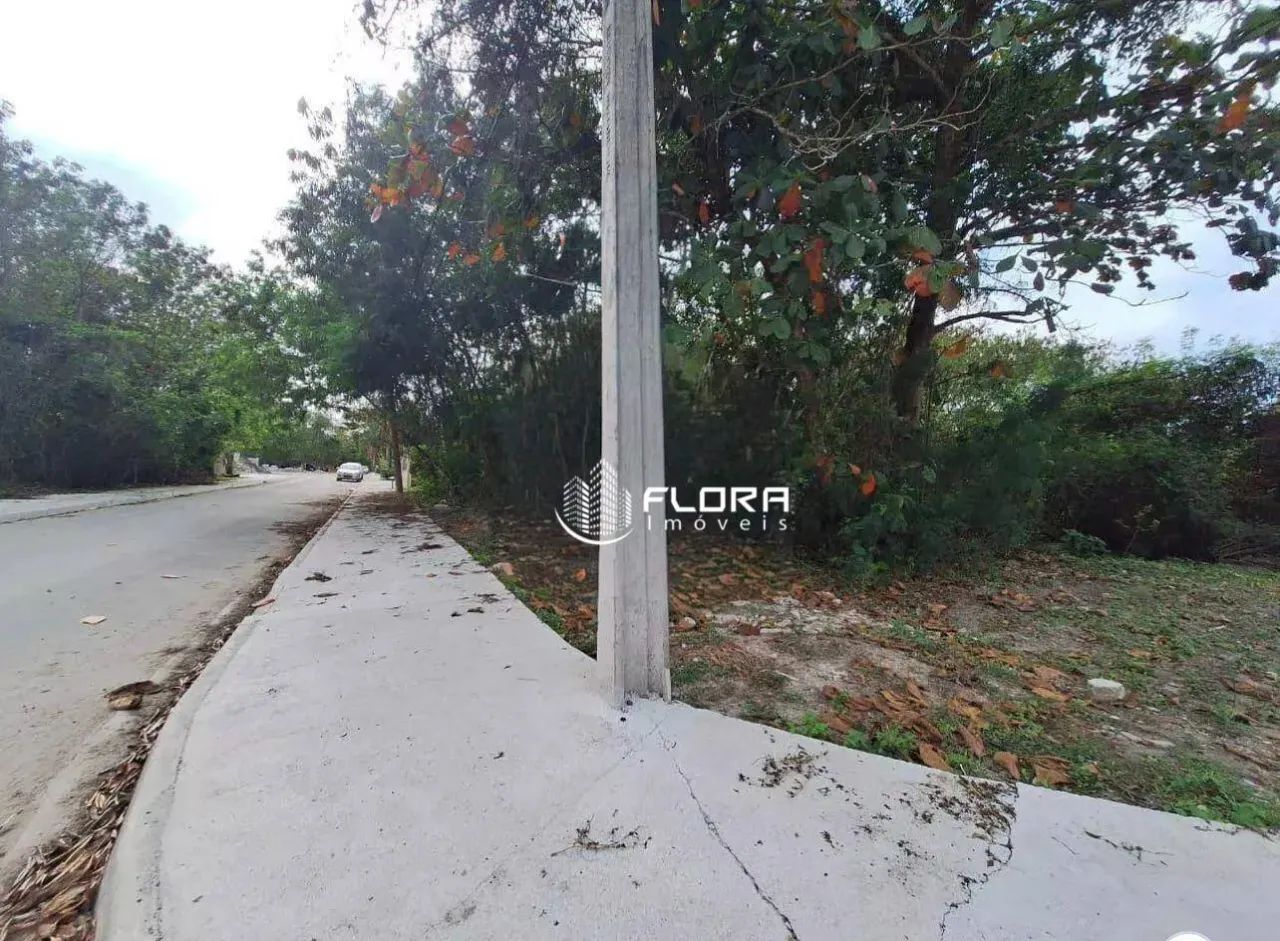 Excelente oportunidade de terreno - Foto 4