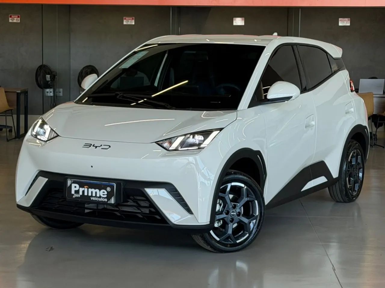 BYD Dolphin Mini (Elétrico) 2026 - Foto 2