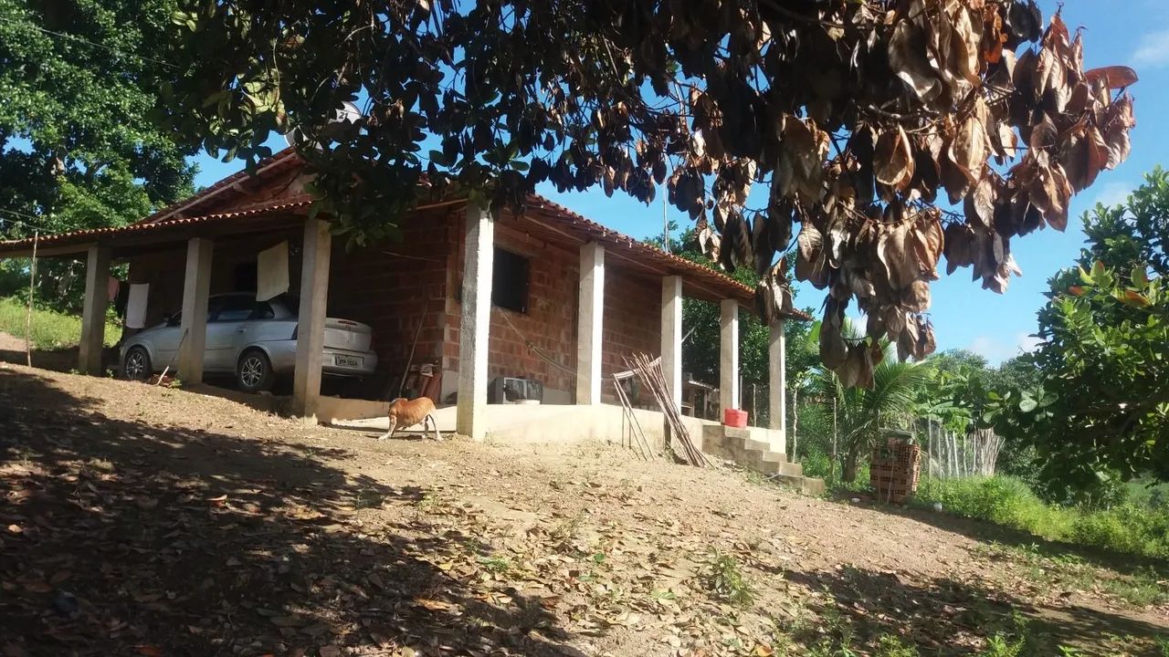 Granja santa Maria  - Foto 5