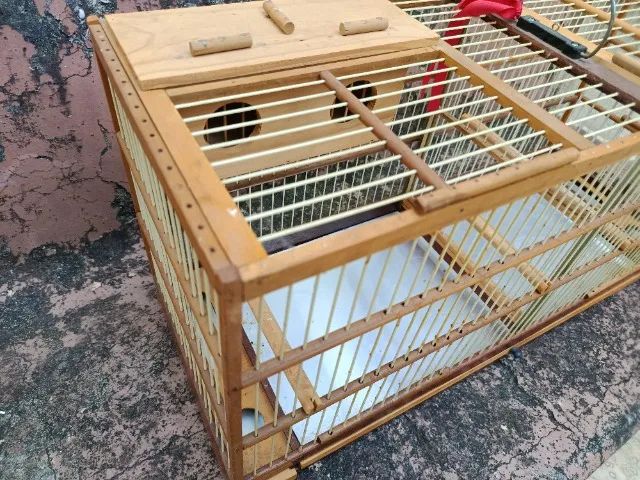 Gaiola de madeira, criadeira, malha fina