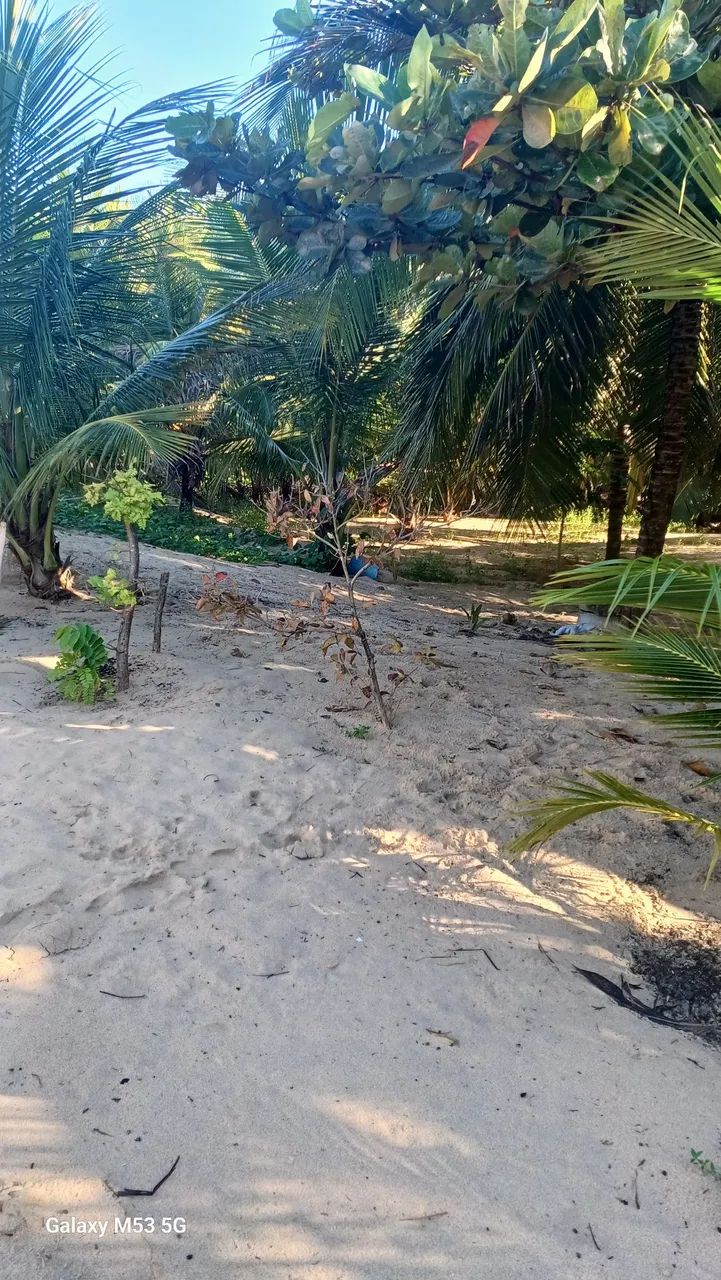 Vendo um terreno na praia  - Foto 3