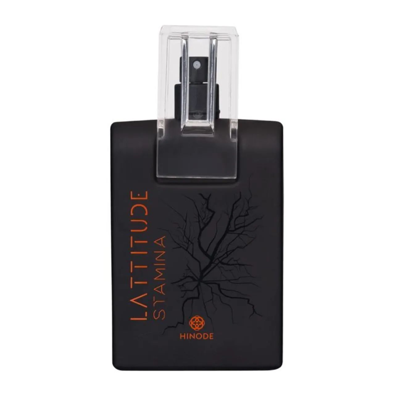 Lattitude stamina (perfume) - Foto 5