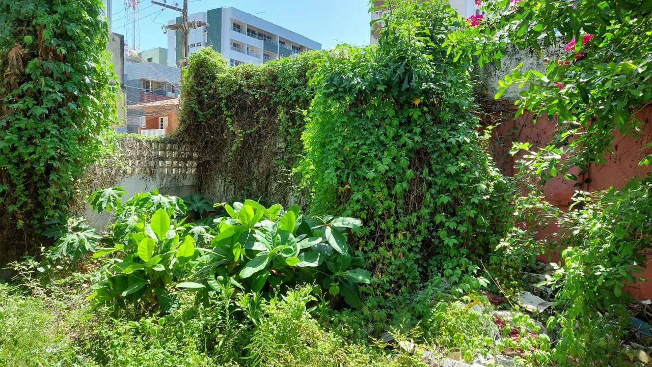 VENDO 02 Lotes juntos a 100 metros do mar com  720m² em Candeias - PE - Foto 4