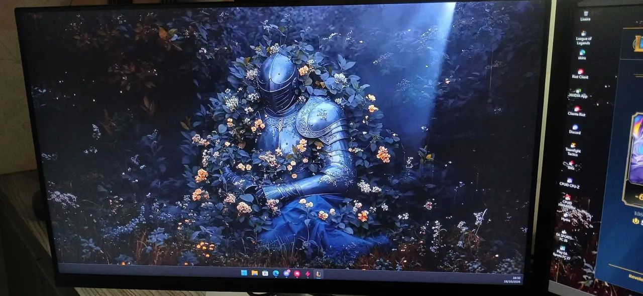 Monitor Dell Original 