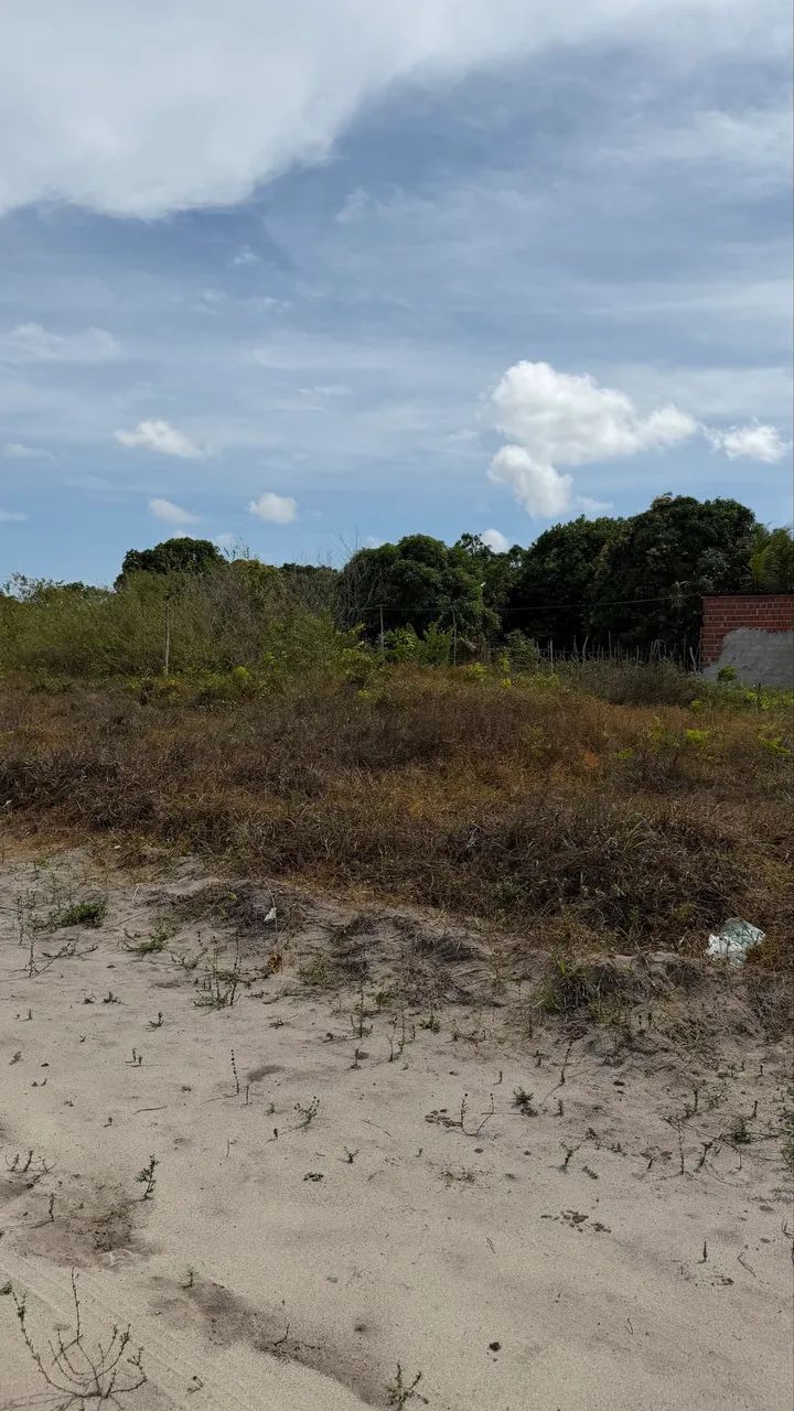 Oportunidade!lote de terreno ao lado do aeroporto. - Foto 4