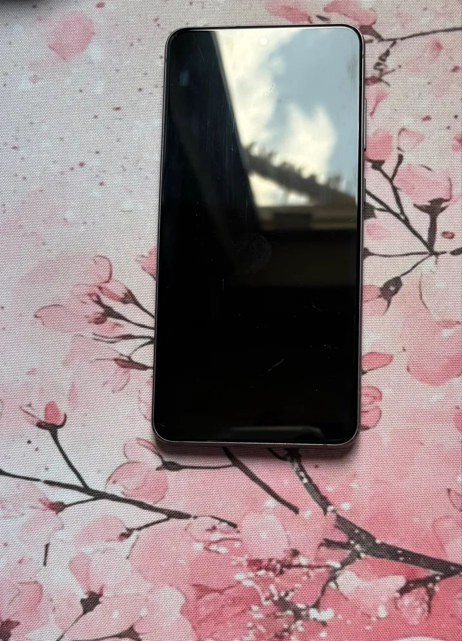 Samsung Galaxy S21 FE