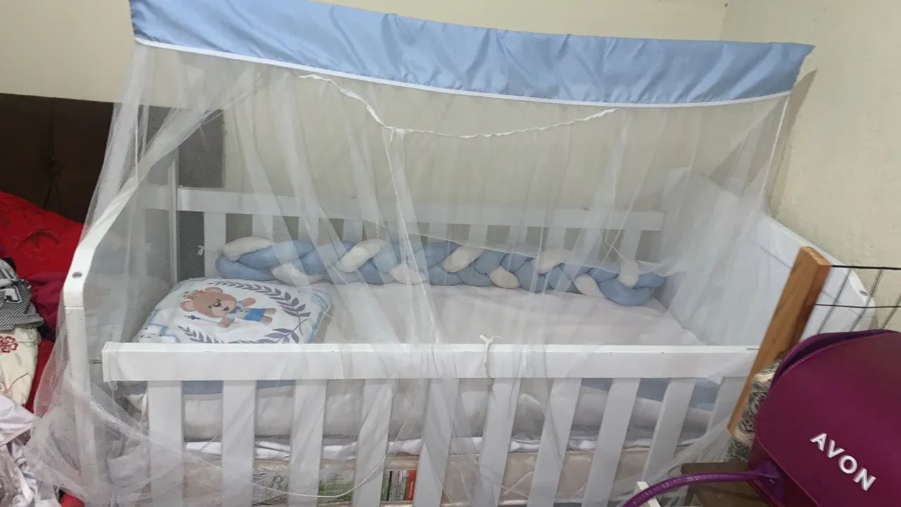 Berço novo samambaia 