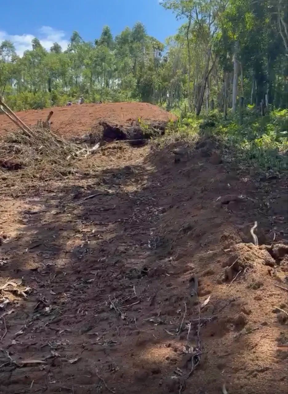Terreno  - Foto 4
