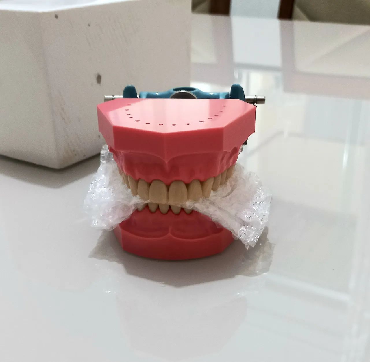 Manequim odontológico articulado - Foto 3