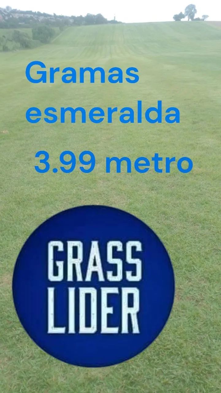 Gramas esmeralda 