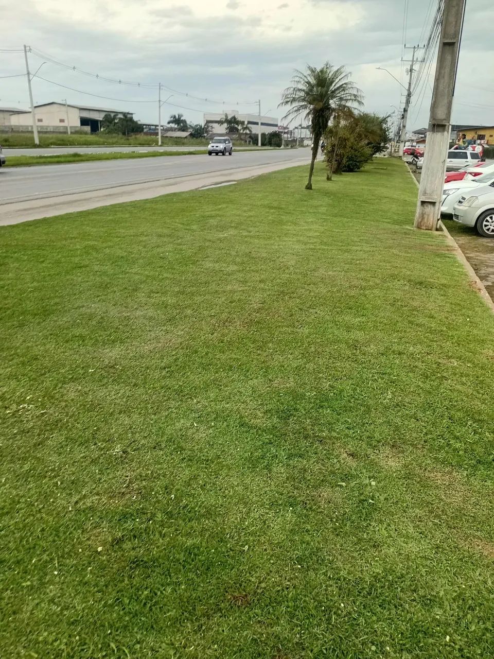 Jardinagem em geral