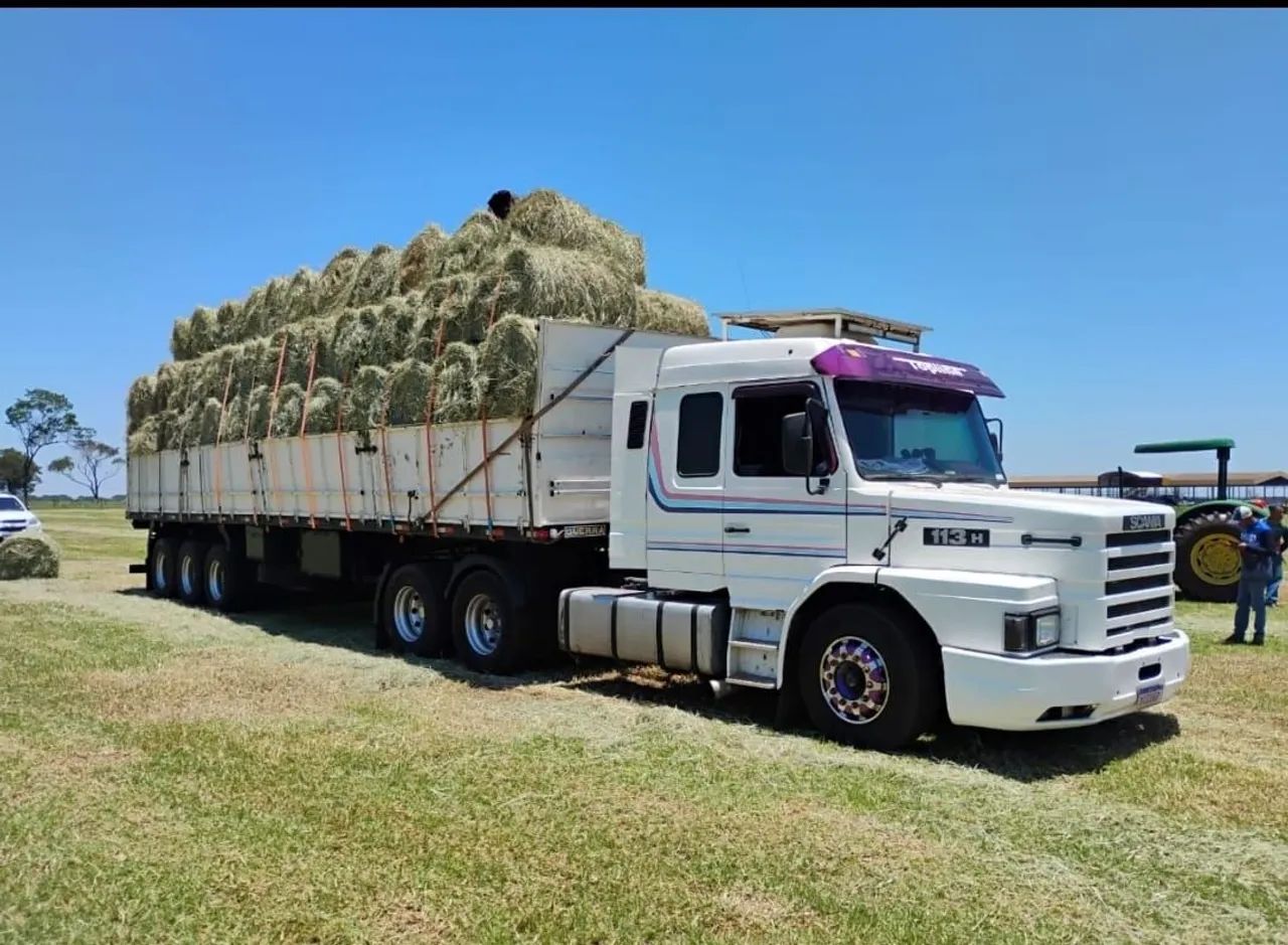 Feno Dyctioneura verde cavalo 120kg CARGA FECHADA