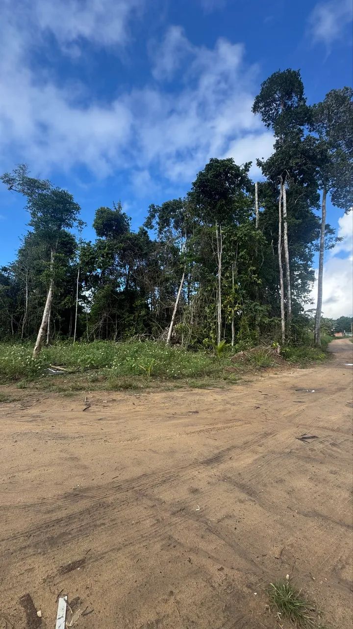Terreno - Foto 3