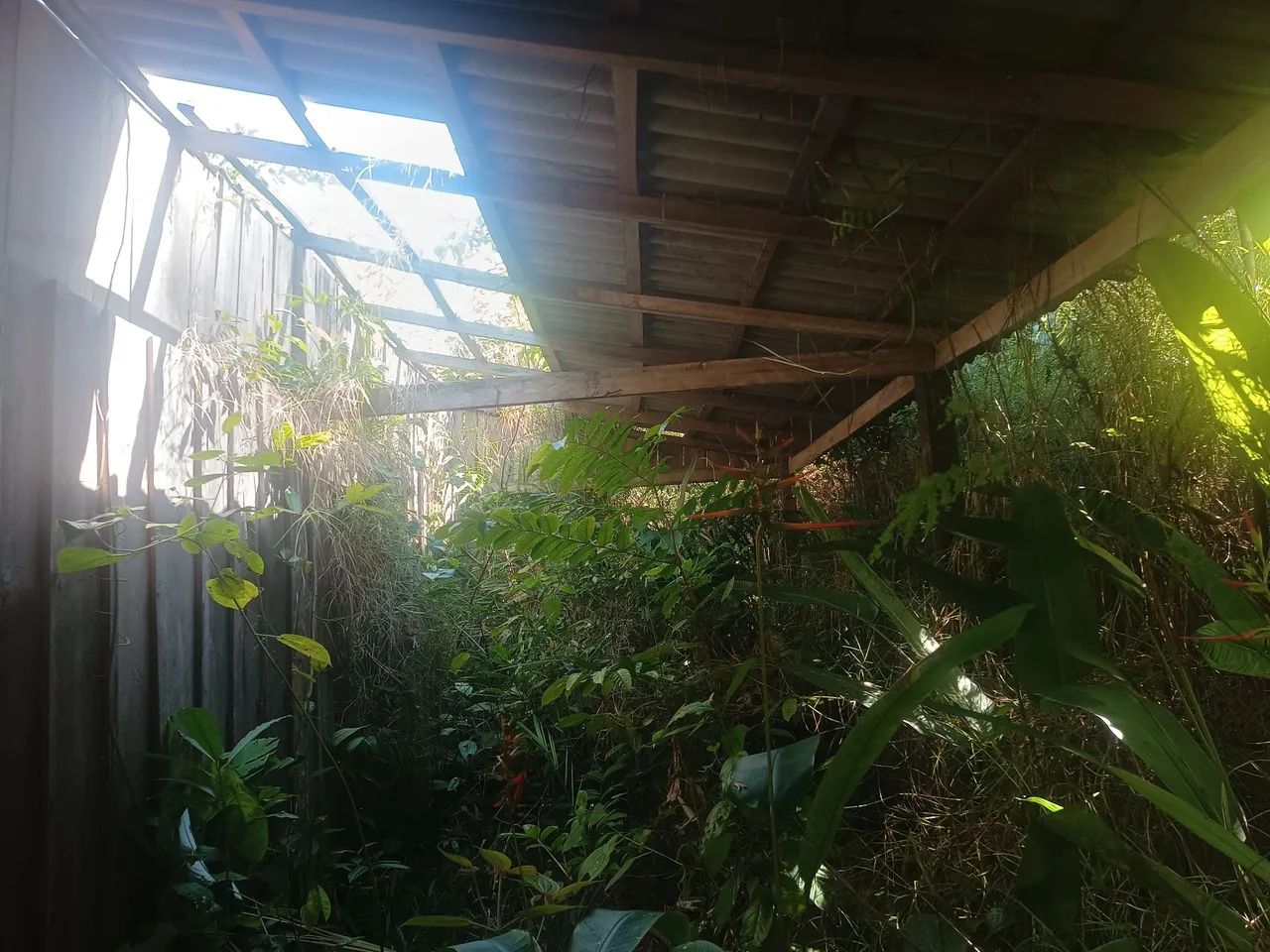 Serviço  - Foto 4