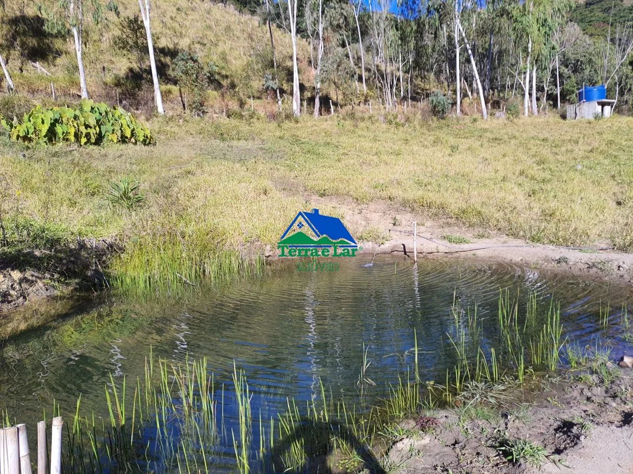 ? Sítio à venda em Carvalhos - MG - Foto 5