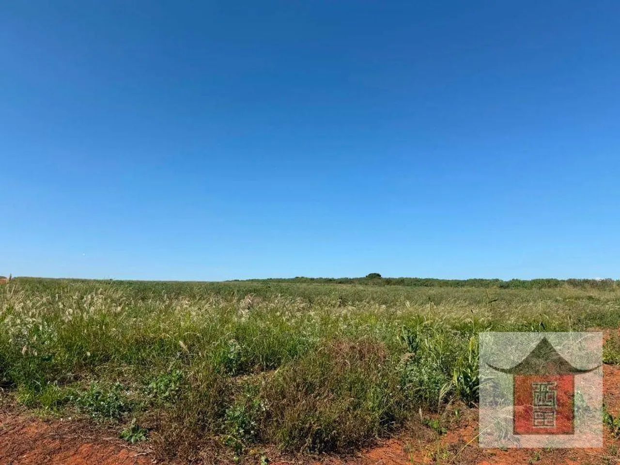 Área à venda, 165 mil m² - Castelo Branco - Sorocaba/SP - Foto 4