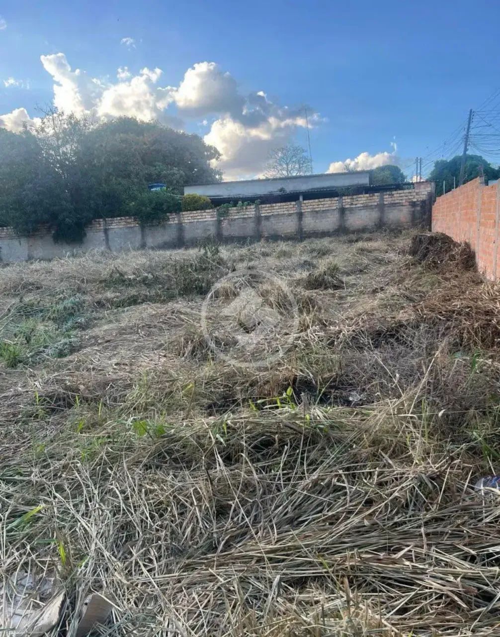 LOTE CIDADE LIVRE codigo: 308398 - Foto 3