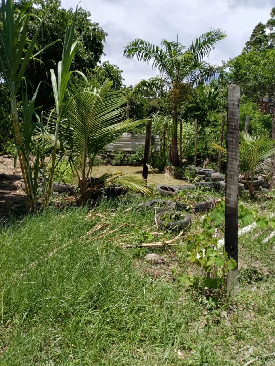 Vendo terreno no maruin - Foto 3