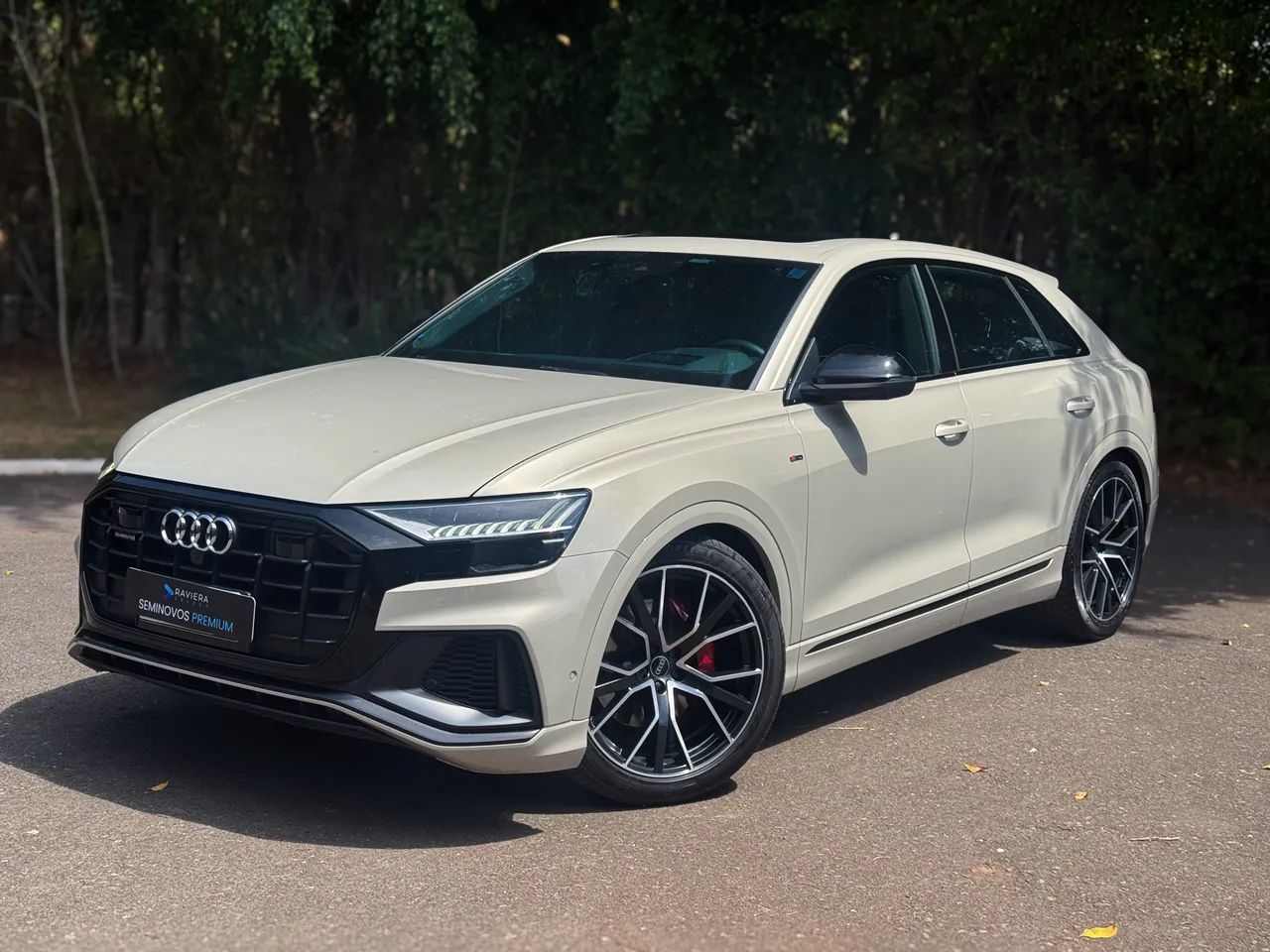 Audi Q8 Perf.bl. 3.0 TFSI Coupe Quat. S-tron. 2022