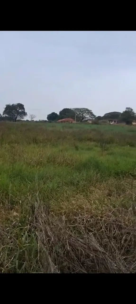 sitio em mococa 1.5 alqueires 500.000.00    ( re ) - Foto 2