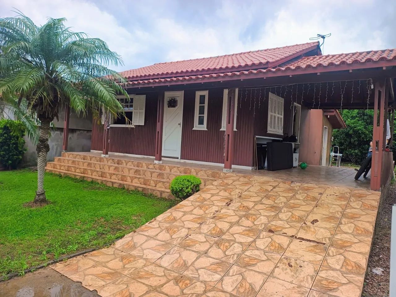 Foto - Tubarão - Humaitá de Cima