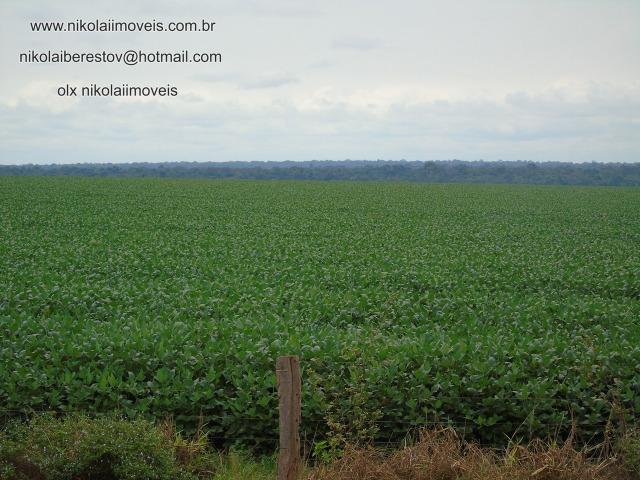 Fazenda coprador de fazenda nikolaiimoveis