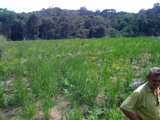 Zé Doca - Maranhão: Vendo Propriedade Rural - Foto 6