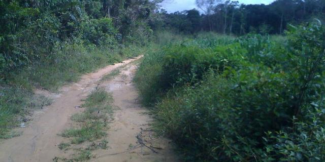 Zé Doca - Maranhão: Vendo Propriedade Rural - Foto 12