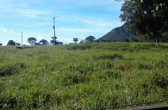 Lindíssima Fazenda, á 40 km de Formosa GO. - Foto 17
