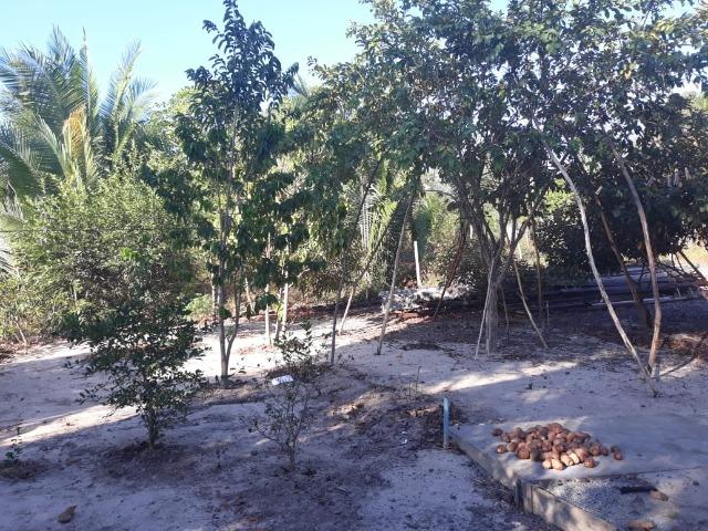 Terreno / Sítio - Foto 5
