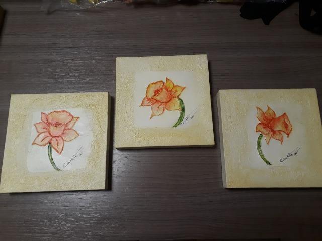 3 Quadros de 20 x 20