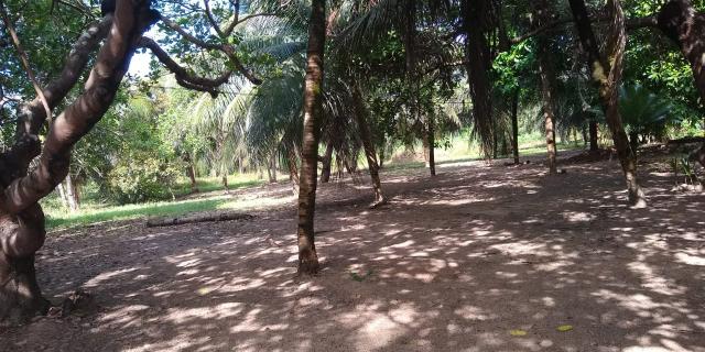 Sítio em Boa Viagem - Foto 4