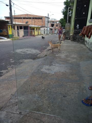 Vendo