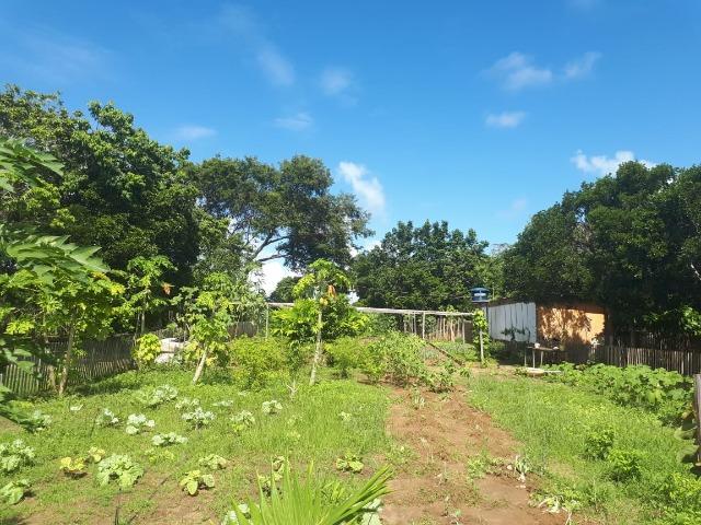 Sítio em Barra do Pojuca 9100m² - Foto 12