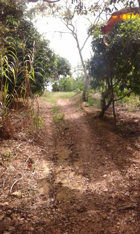 Chacara sabara - Foto 3