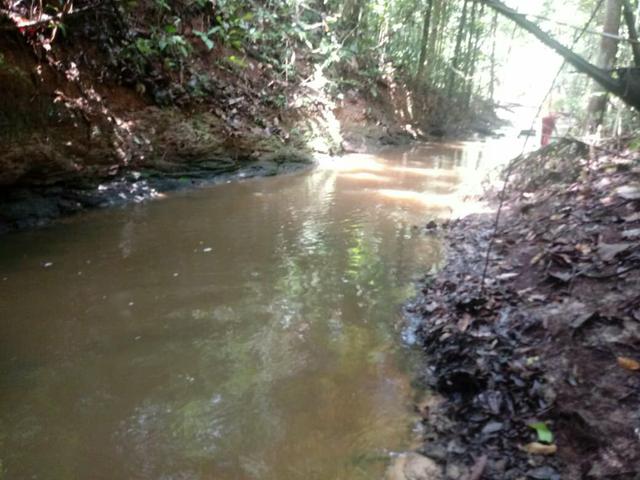 Vendo 5 lotes de 100 hectares cada - Foto 2